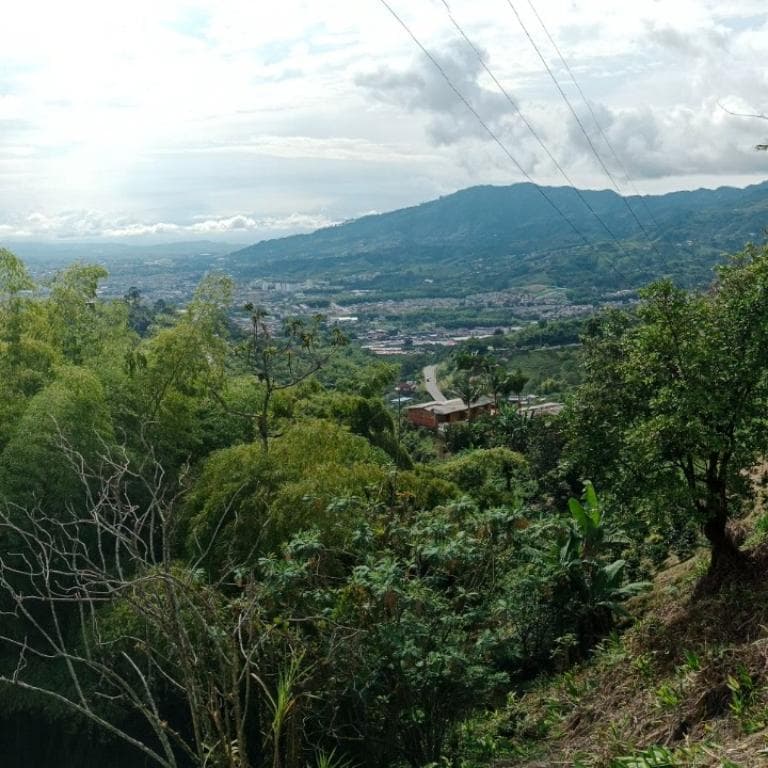 Busco pareja hm o mujer sola – 50