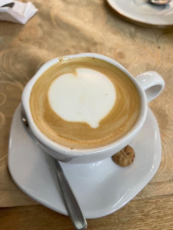 Mujer femenina busca mujer