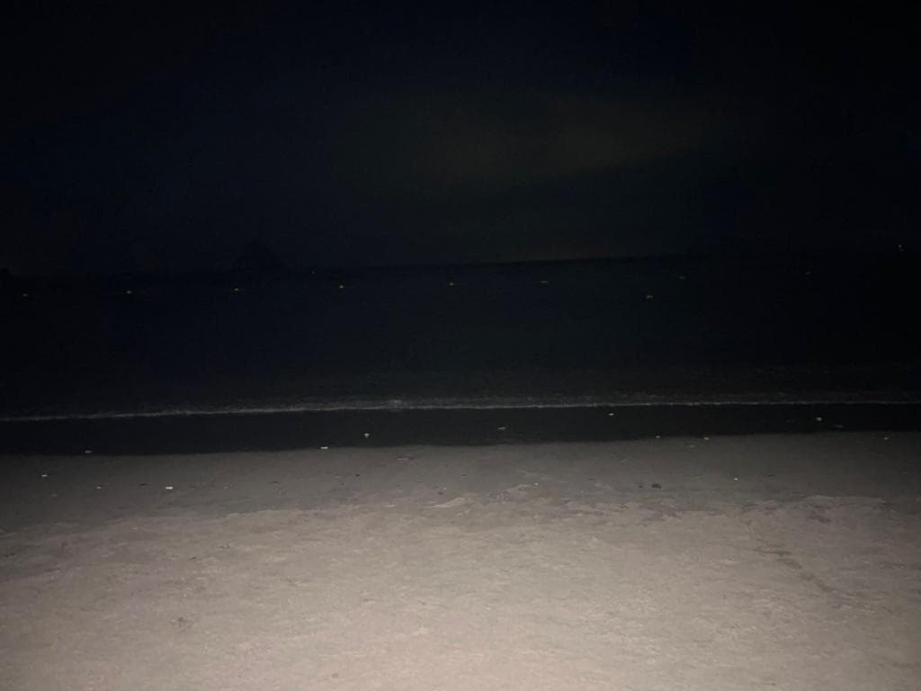 Pareja busca hombres y mujeres bisexuales