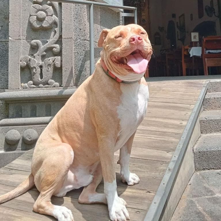 Pareja amateur Wcam solo contenido x ahora