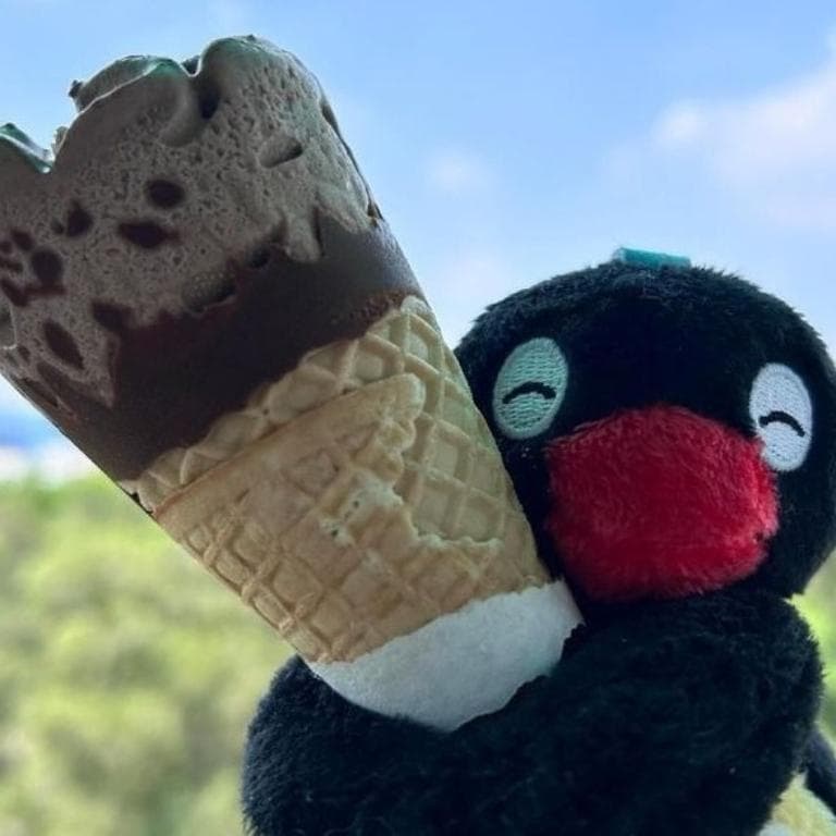 Busco un encuentro en medellín moravia