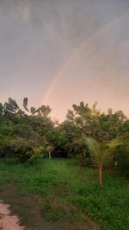 Alguna mujer para sexo yo moreno bien dotado que sabe complacer